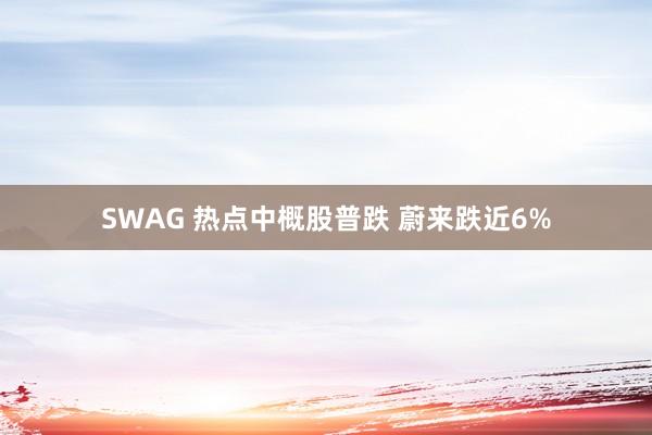 SWAG 热点中概股普跌 蔚来跌近6%