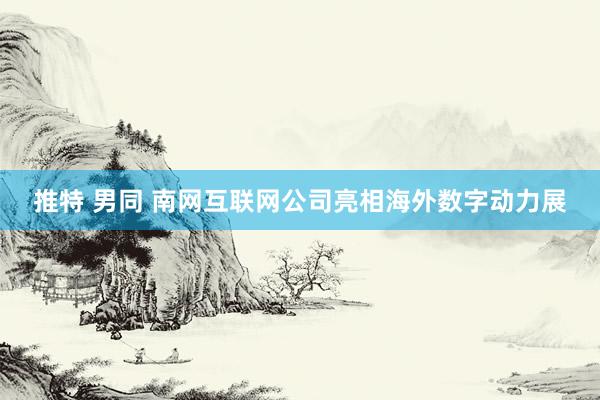 推特 男同 南网互联网公司亮相海外数字动力展