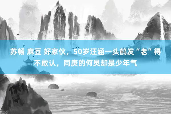 苏畅 麻豆 好家伙，50岁汪涵一头鹤发“老”得不敢认，同庚的何炅却是少年气