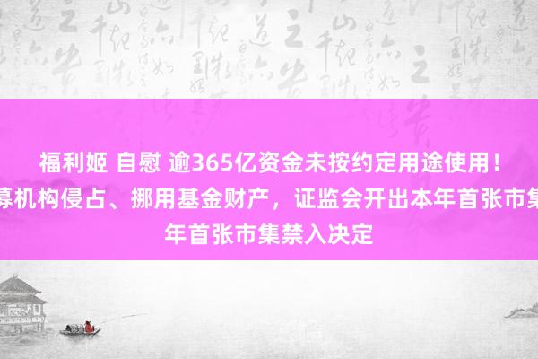 福利姬 自慰 逾365亿资金未按约定用途使用！阜兴系私募机构侵占、挪用基金财产，证监会开出本年首张市集禁入决定