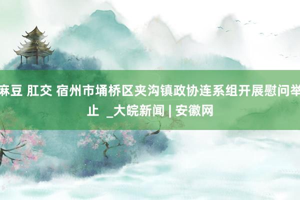 麻豆 肛交 宿州市埇桥区夹沟镇政协连系组开展慰问举止  _大皖新闻 | 安徽网