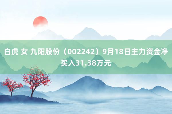 白虎 女 九阳股份（002242）9月18日主力资金净买入31.38万元