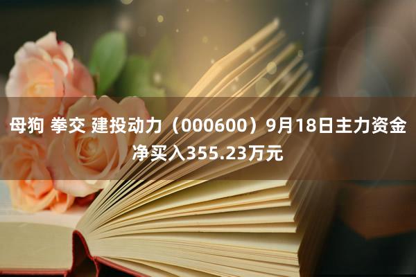 母狗 拳交 建投动力（000600）9月18日主力资金净买入355.23万元