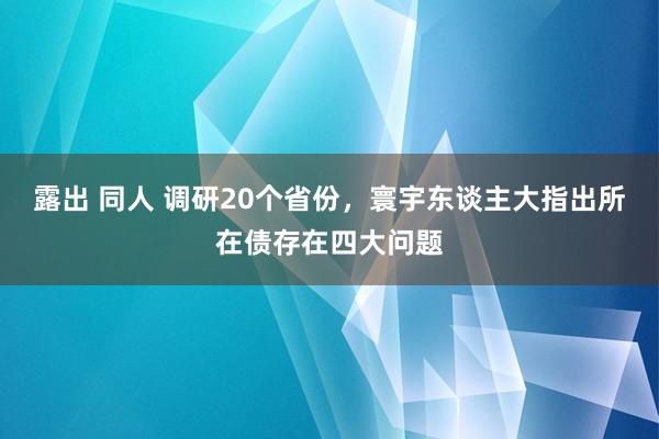 露出 同人 调研20个省份，寰宇东谈主大指出所在债存在四大问题