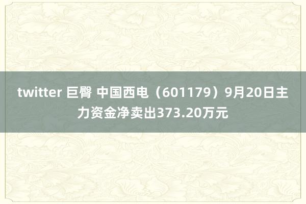 twitter 巨臀 中国西电（601179）9月20日主力资金净卖出373.20万元