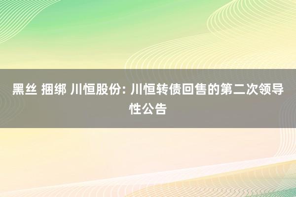 黑丝 捆绑 川恒股份: 川恒转债回售的第二次领导性公告