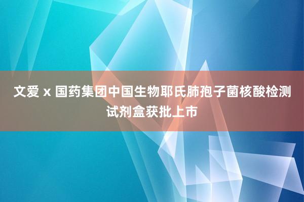 文爱 x 国药集团中国生物耶氏肺孢子菌核酸检测试剂盒获批上市