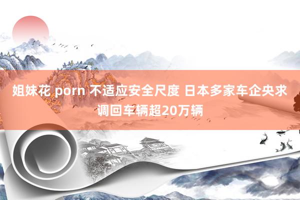 姐妹花 porn 不适应安全尺度 日本多家车企央求调回车辆超20万辆