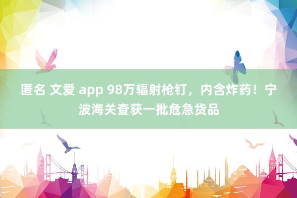 匿名 文爱 app 98万辐射枪钉，内含炸药！宁波海关查获一批危急货品