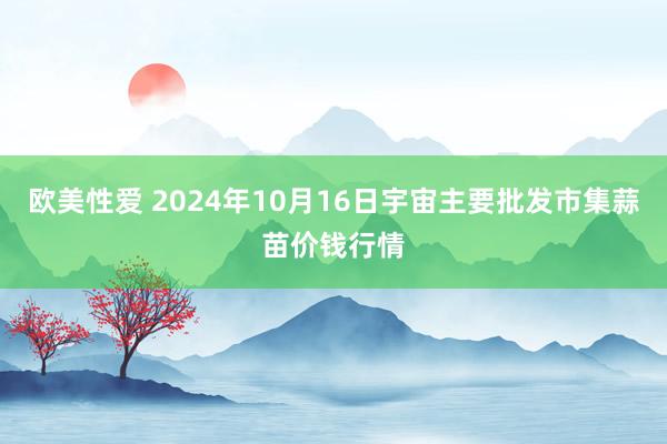 欧美性爱 2024年10月16日宇宙主要批发市集蒜苗价钱行情