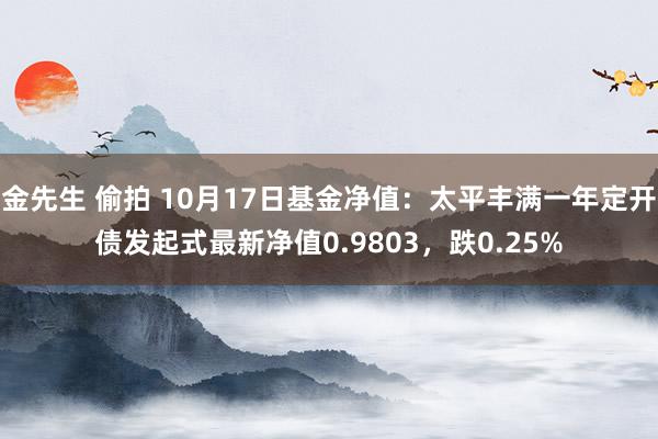 金先生 偷拍 10月17日基金净值：太平丰满一年定开债发起式最新净值0.9803，跌0.25%