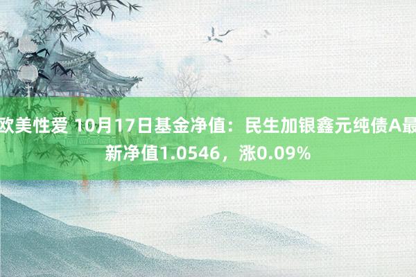 欧美性爱 10月17日基金净值：民生加银鑫元纯债A最新净值1.0546，涨0.09%