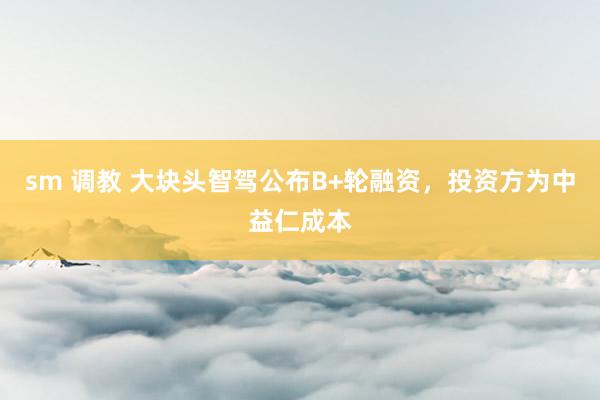 sm 调教 大块头智驾公布B+轮融资，投资方为中益仁成本