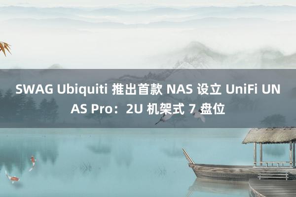 SWAG Ubiquiti 推出首款 NAS 设立 UniFi UNAS Pro：2U 机架式 7 盘位