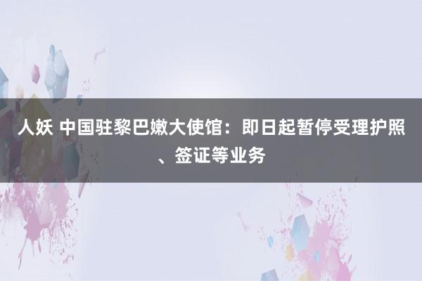 人妖 中国驻黎巴嫩大使馆：即日起暂停受理护照、签证等业务