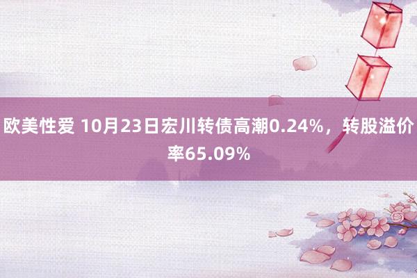 欧美性爱 10月23日宏川转债高潮0.24%，转股溢价率65.09%