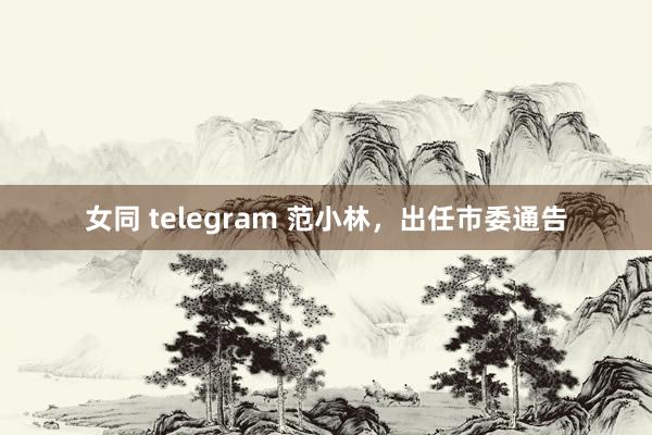 女同 telegram 范小林，出任市委通告