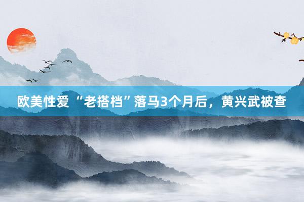 欧美性爱 “老搭档”落马3个月后，黄兴武被查