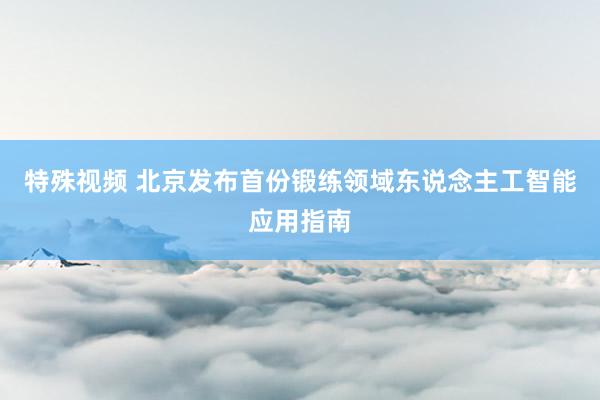 特殊视频 北京发布首份锻练领域东说念主工智能应用指南