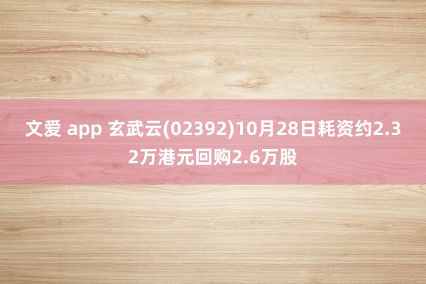 文爱 app 玄武云(02392)10月28日耗资约2.32万港元回购2.6万股