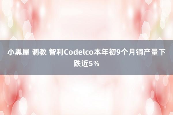 小黑屋 调教 智利Codelco本年初9个月铜产量下跌近5%