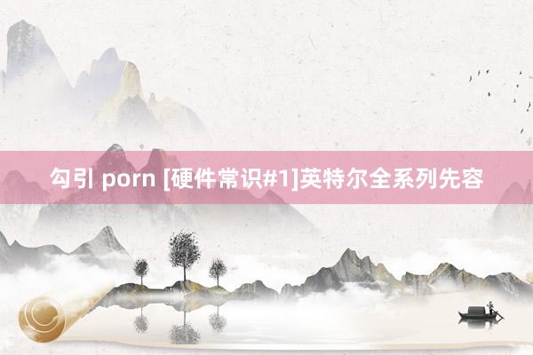 勾引 porn [硬件常识#1]英特尔全系列先容