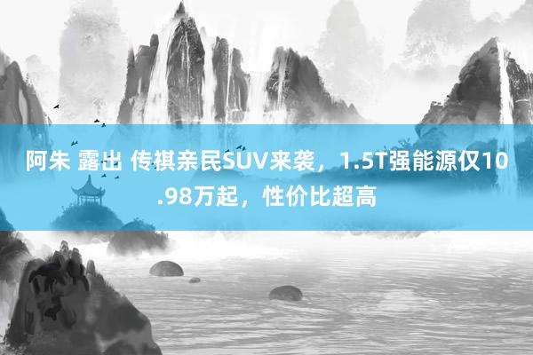 阿朱 露出 传祺亲民SUV来袭，1.5T强能源仅10.98万起，性价比超高