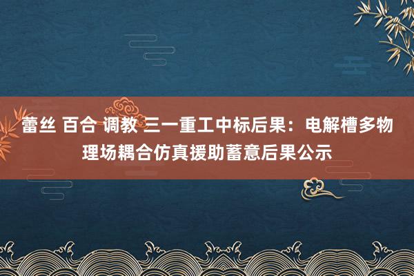 蕾丝 百合 调教 三一重工中标后果：电解槽多物理场耦合仿真援助蓄意后果公示