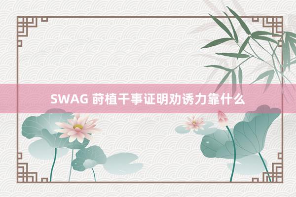 SWAG 莳植干事证明劝诱力靠什么