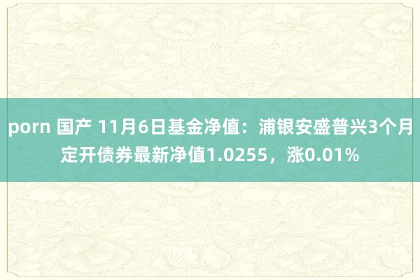 porn 国产 11月6日基金净值：浦银安盛普兴3个月定开债券最新净值1.0255，涨0.01%