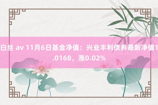 白丝 av 11月6日基金净值：兴业丰利债券最新净值1.0168，涨0.02%