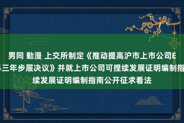 男同 動漫 上交所制定《推动提高沪市上市公司ESG信息表示质料三年步履决议》并就上市公司可捏续发展证明编制指南公开征求看法