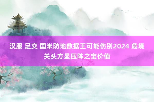 汉服 足交 国米防地数据王可能伤别2024 危境关头方显压阵之宝价值