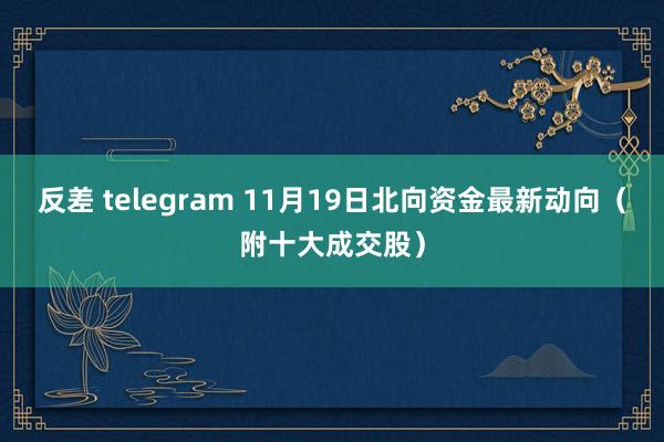 反差 telegram 11月19日北向资金最新动向（附十大成交股）