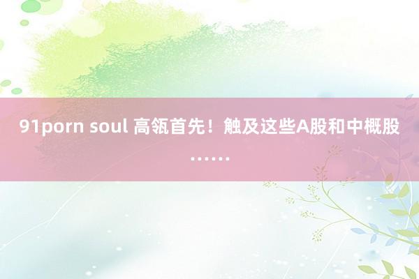 91porn soul 高瓴首先！触及这些A股和中概股……