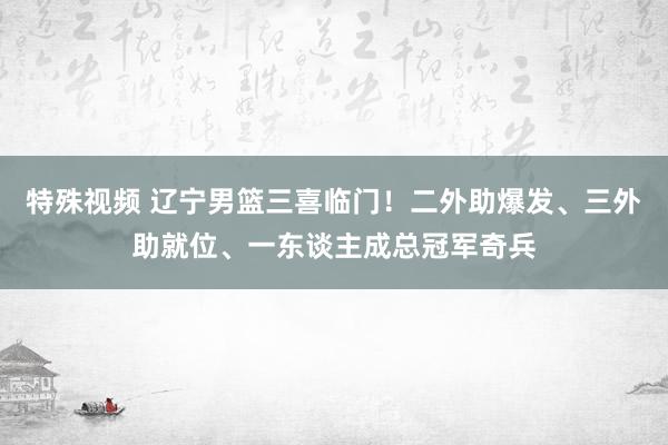 特殊视频 辽宁男篮三喜临门！二外助爆发、三外助就位、一东谈主成总冠军奇兵