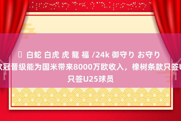 ✨白蛇 白虎 虎 龍 福 /24k 御守り お守り 意媒：欧冠晋级能为国米带来8000万欧收入，橡树条款只签U25球员