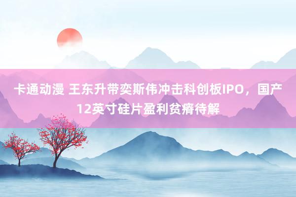 卡通动漫 王东升带奕斯伟冲击科创板IPO，国产12英寸硅片盈利贫瘠待解