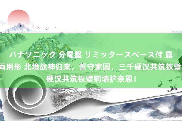 パナソニック 分電盤 リミッタースペース付 露出・半埋込両用形 北境战神归来，誓守家园，三千硬汉共筑铁壁铜墙护亲恩！