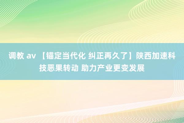 调教 av 【锚定当代化 纠正再久了】陕西加速科技恶果转动 助力产业更变发展