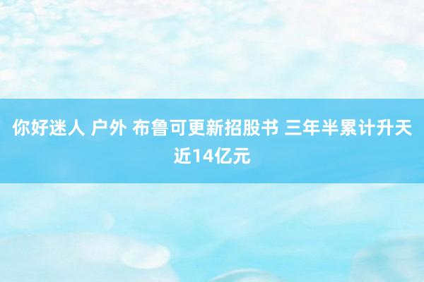 你好迷人 户外 布鲁可更新招股书 三年半累计升天近14亿元