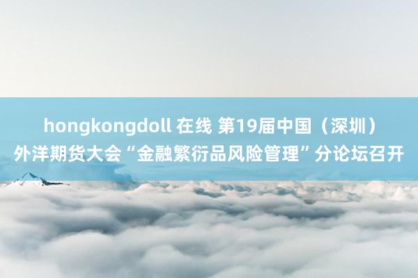 hongkongdoll 在线 第19届中国（深圳）外洋期货大会“金融繁衍品风险管理”分论坛召开