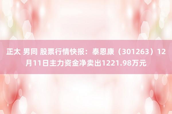 正太 男同 股票行情快报：泰恩康（301263）12月11日主力资金净卖出1221.98万元