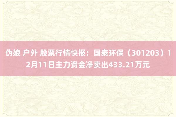 伪娘 户外 股票行情快报：国泰环保（301203）12月11日主力资金净卖出433.21万元