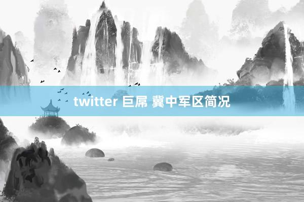 twitter 巨屌 冀中军区简况