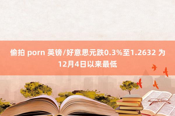 偷拍 porn 英镑/好意思元跌0.3%至1.2632 为12月4日以来最低