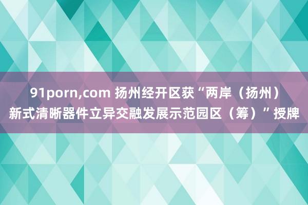 91porn，com 扬州经开区获“两岸（扬州）新式清晰器件立异交融发展示范园区（筹）”授牌