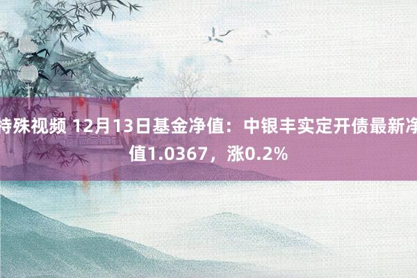 特殊视频 12月13日基金净值：中银丰实定开债最新净值1.0367，涨0.2%