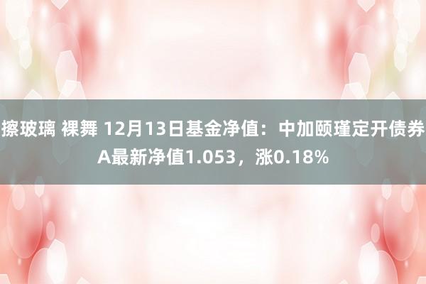 擦玻璃 裸舞 12月13日基金净值：中加颐瑾定开债券A最新净值1.053，涨0.18%