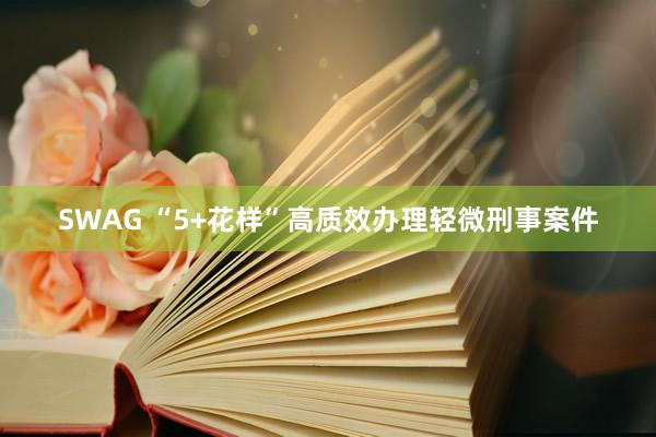 SWAG “5+花样”高质效办理轻微刑事案件